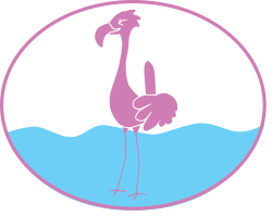 Mot Flamingo queroval